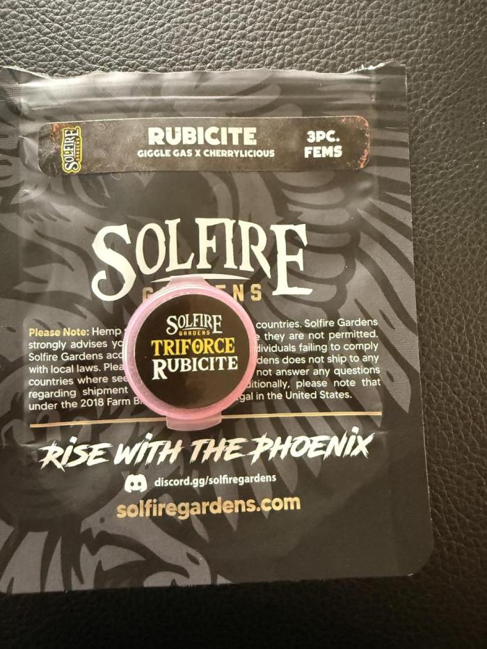Rubicite. Week 0
