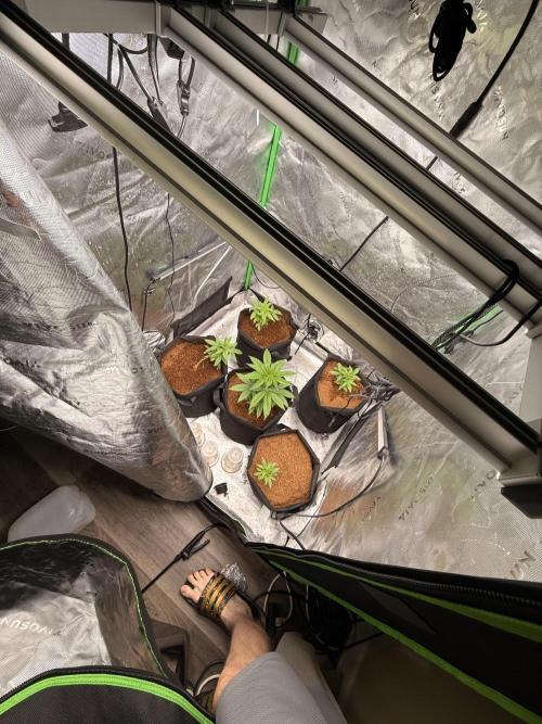 What’s her name? Wildfire.. Week 5