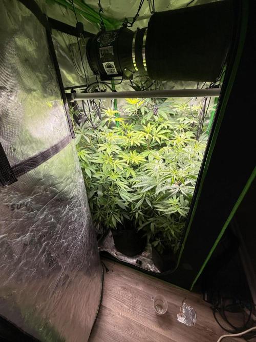 What’s her name? Wildfire.. Week 9