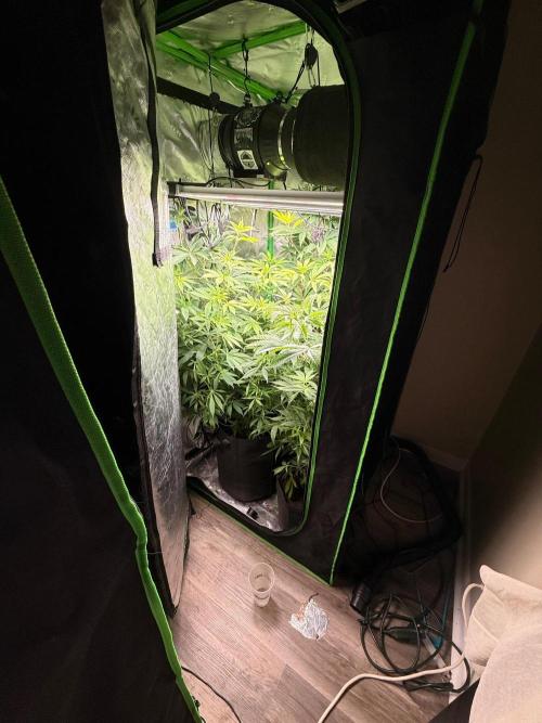 What’s her name? Wildfire.. Week 9