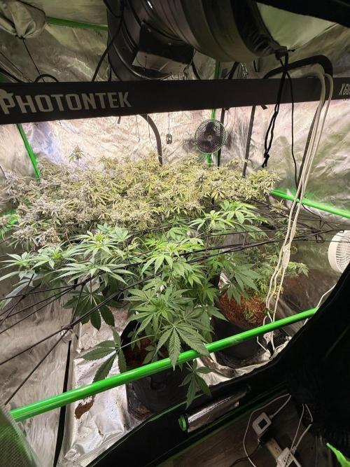 What’s her name? Wildfire.. Week 9