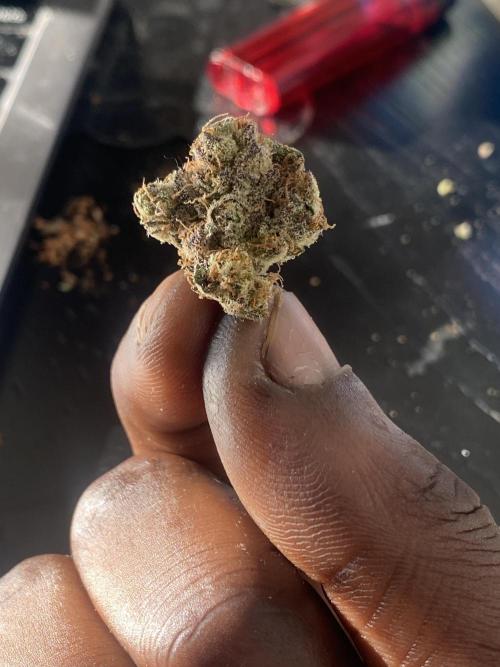 Runtz x Gushers x Cake Crasher. Week 9