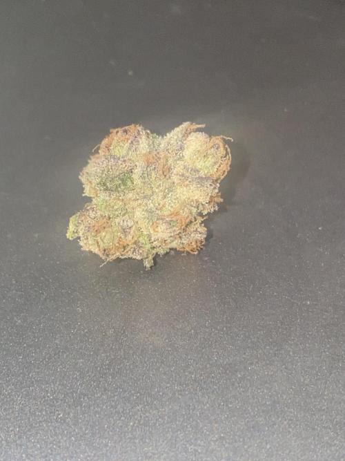 Runtz x Gushers x Cake Crasher. Week 9