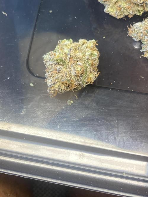 Runtz x Gushers x Cake Crasher. Week 9