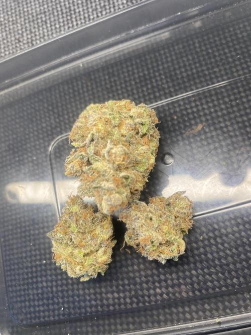 Runtz x Gushers x Cake Crasher. Week 9