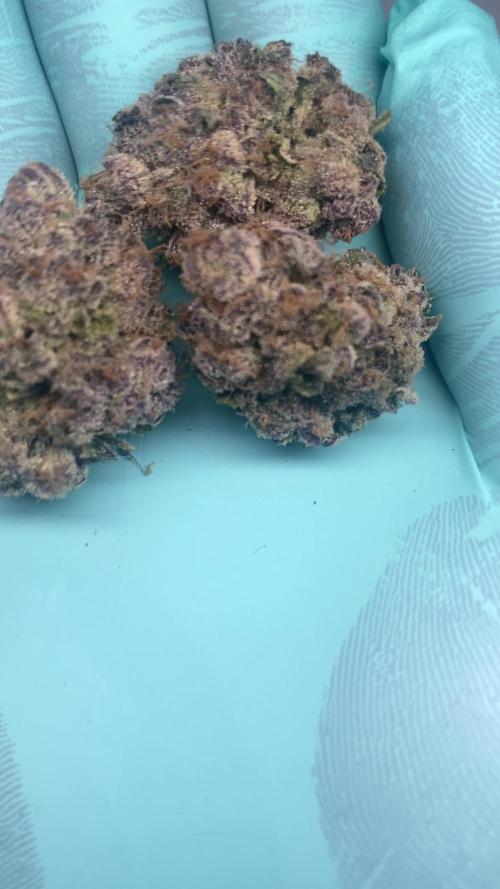PINK RUNTZ CLONES 