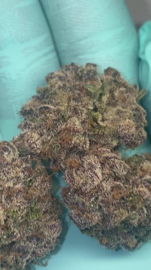 PINK RUNTZ CLONES 