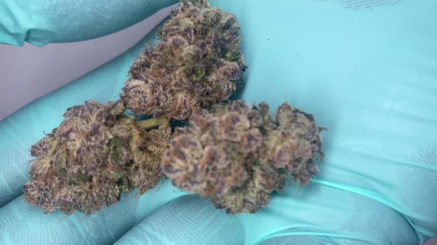 PINK RUNTZ CLONES 