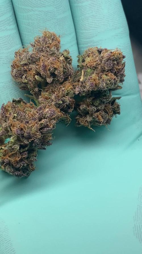 PINK RUNTZ CLONES 