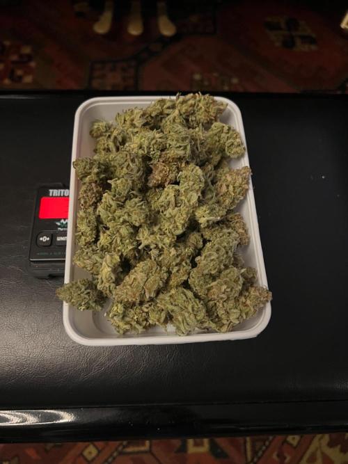 Apple Fritter. Week 14