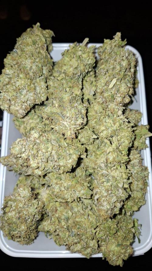 Royal Highness. Week 14