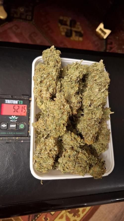 Royal Highness. Week 14