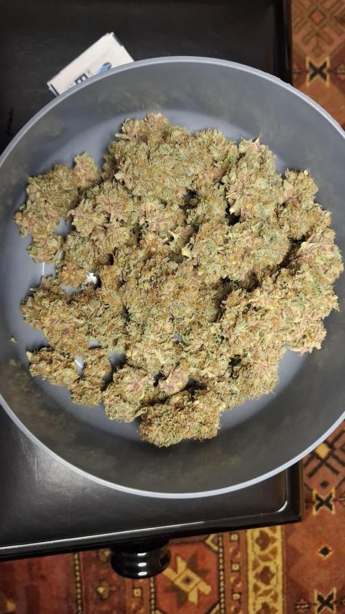 Strawberry Glue. Week 15