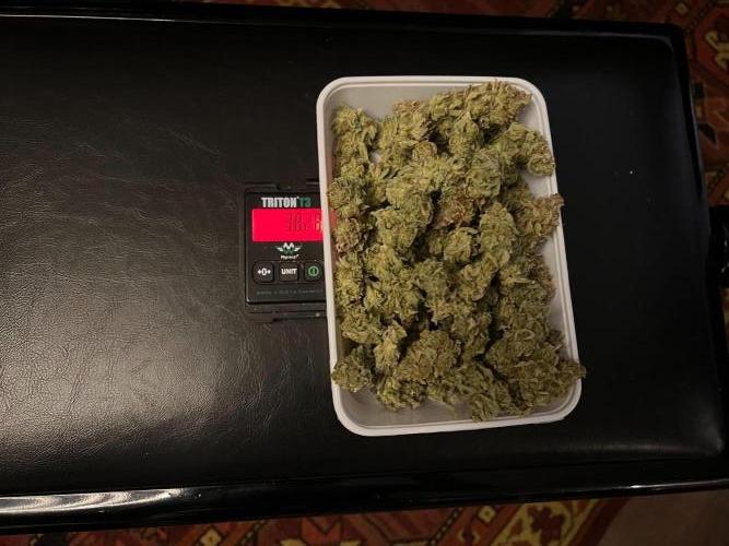 Apple Fritter. Week 14