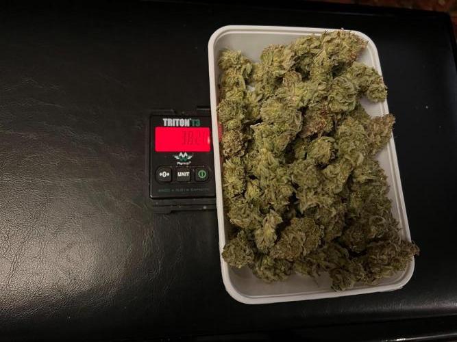 Apple Fritter. Week 14
