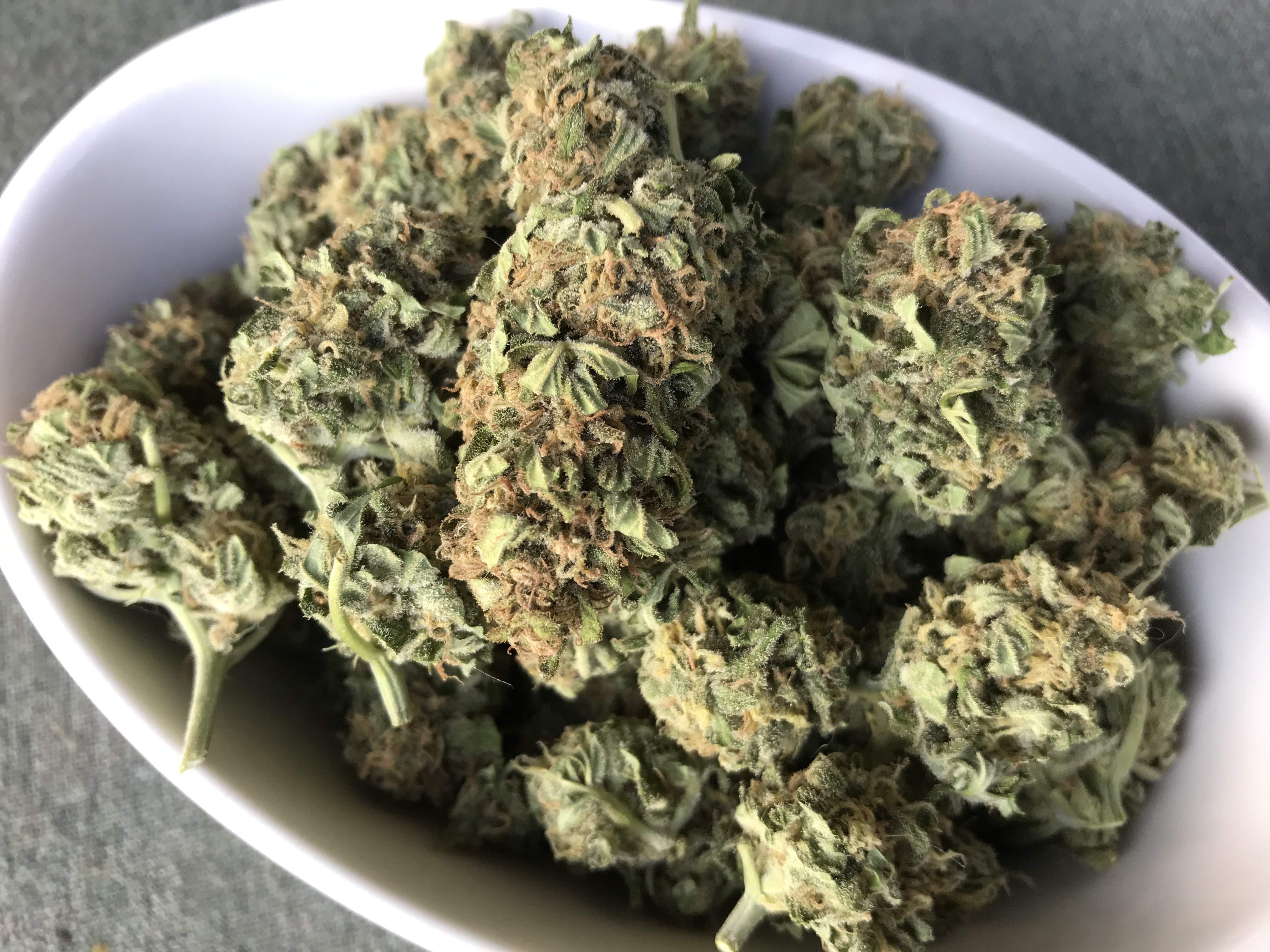 Auto Durban Poison 2 grow journal harvest11 by GrowDiaries