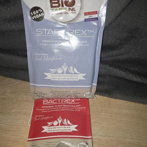 Banana Fumes. Week 9