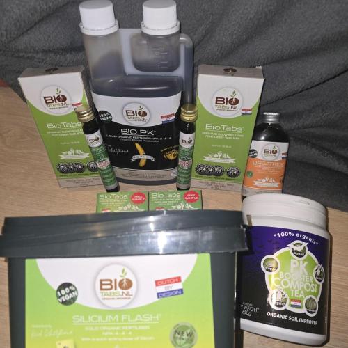 Trentra Sunrise. Week 9