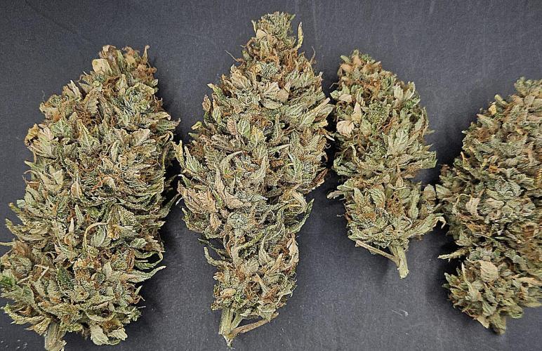 Cherry Dream. Week 14