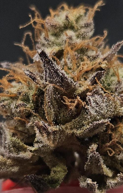 Purple Punch Cookies. Week 14