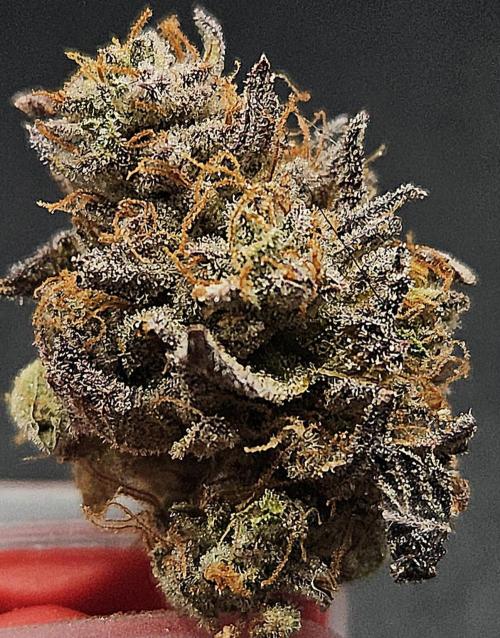 Purple Punch Cookies. Week 14