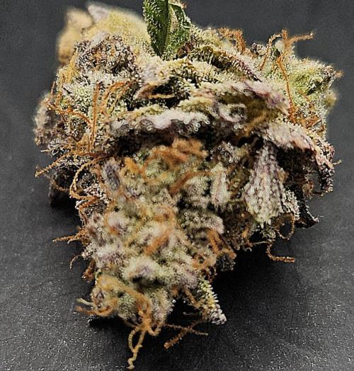 Purple Punch Cookies. Week 14