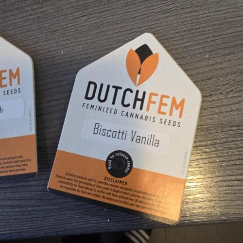 Biscotti Vanilla. Week 0