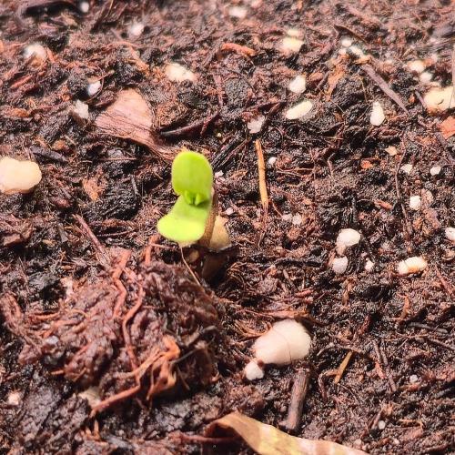 Permanent Marker. Week 0