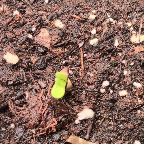 Permanent Marker. Week 0