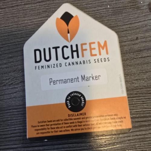 Permanent Marker. Week 0