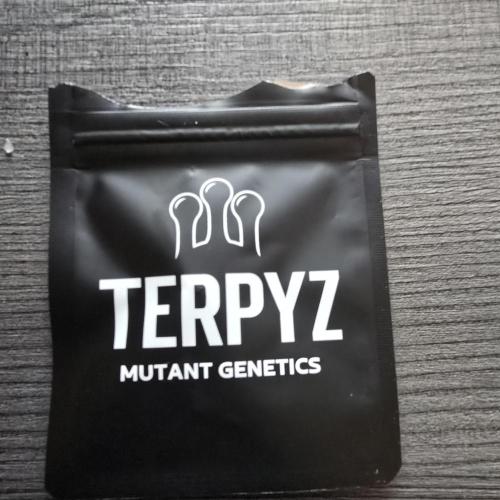 Guava Spritz. Week 0