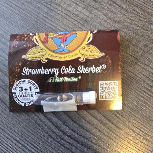 Strawberry Cola Sherbet. Week 0