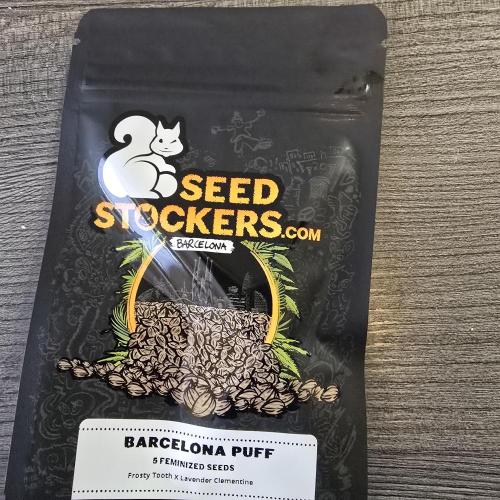 Barcelona Puff. Week 0