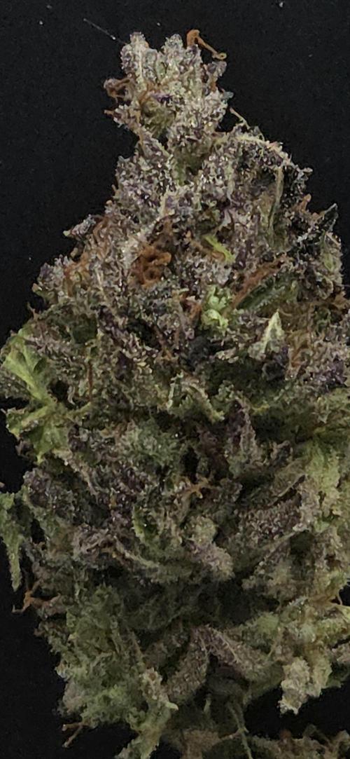 Frozen Cherry Runtz. Week 15