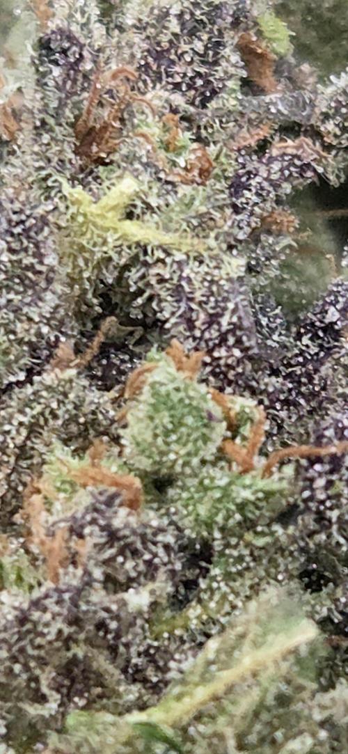 Sour number2. Week 15