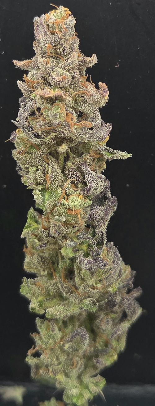 Sour number2. Week 15