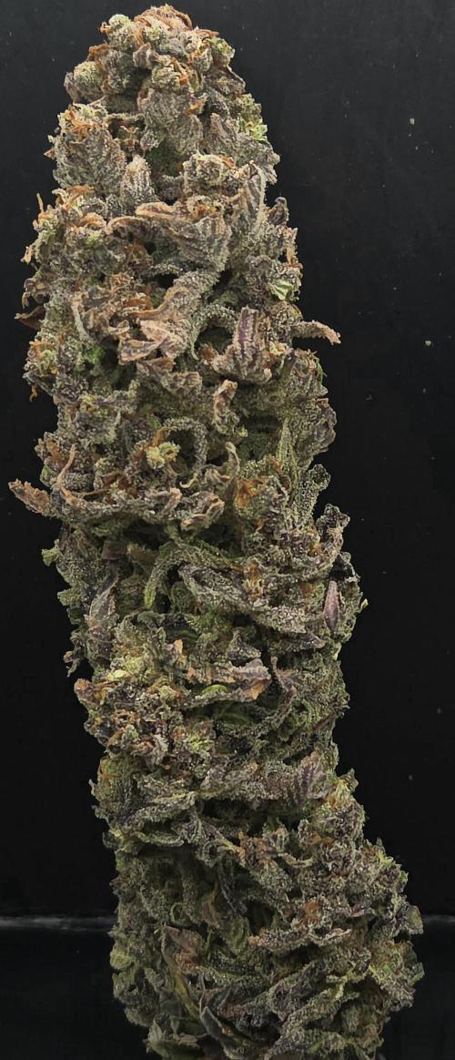 Sour number2. Week 15