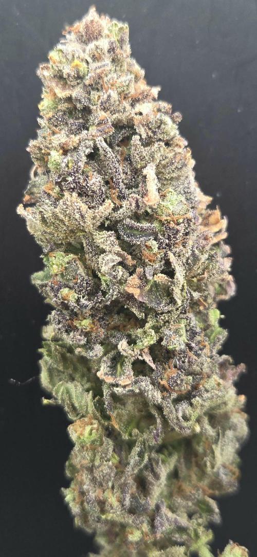 Sour number2. Week 15