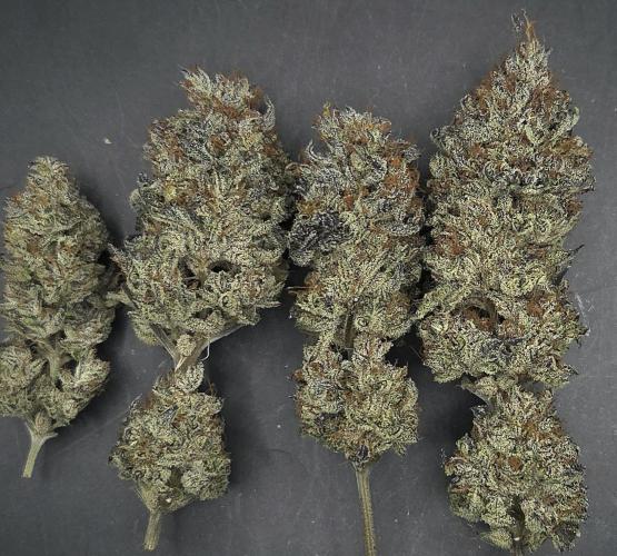 LH2P perfect Tree. Week 15