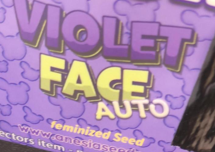 Violett Face Auto. Week 0