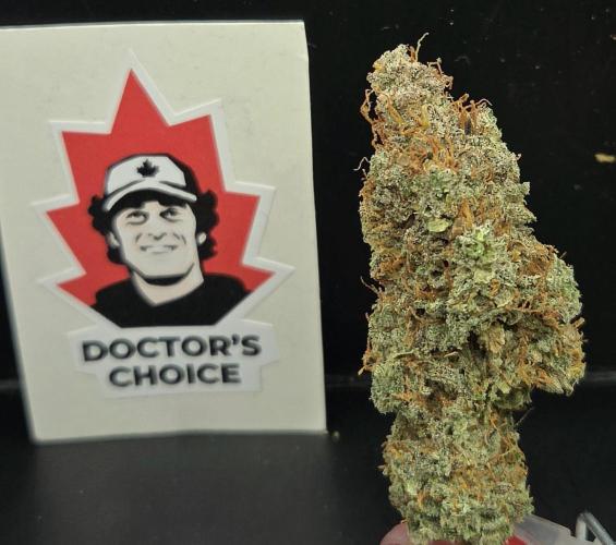 AutoflowerWorldCupBeingThereIsEverything. Week 15
