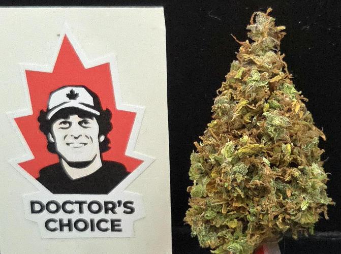 AutoflowerWorldCupBeingThereIsEverything. Week 15