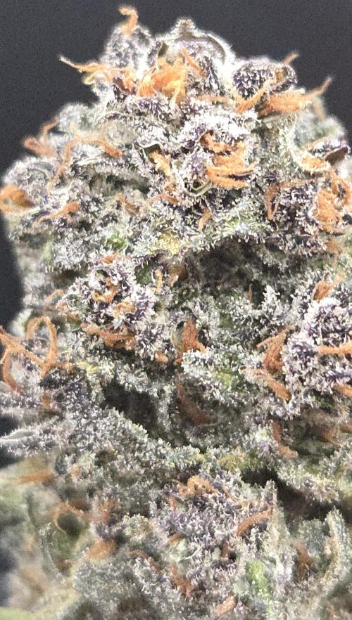 Strawberry Cola Sherbet. Week 15