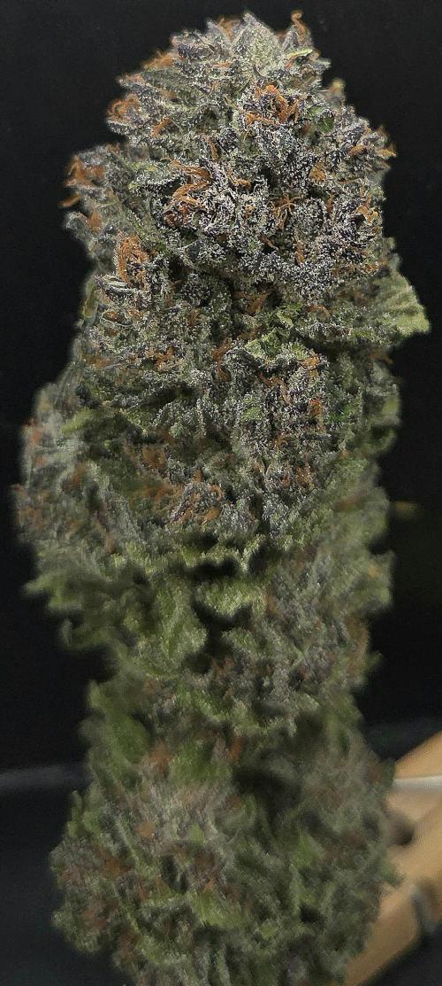 Strawberry Cola Sherbet. Week 15