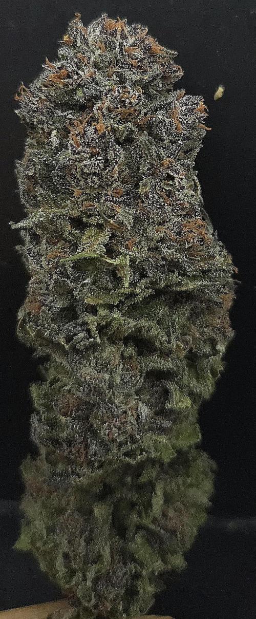 Strawberry Cola Sherbet. Week 15