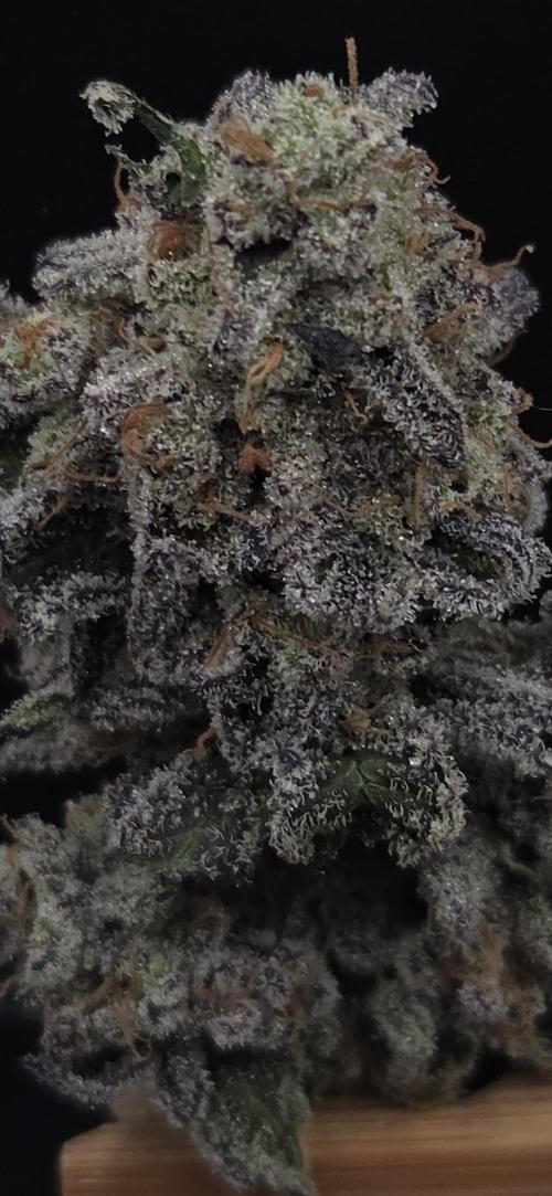 F.U.H. Week 16