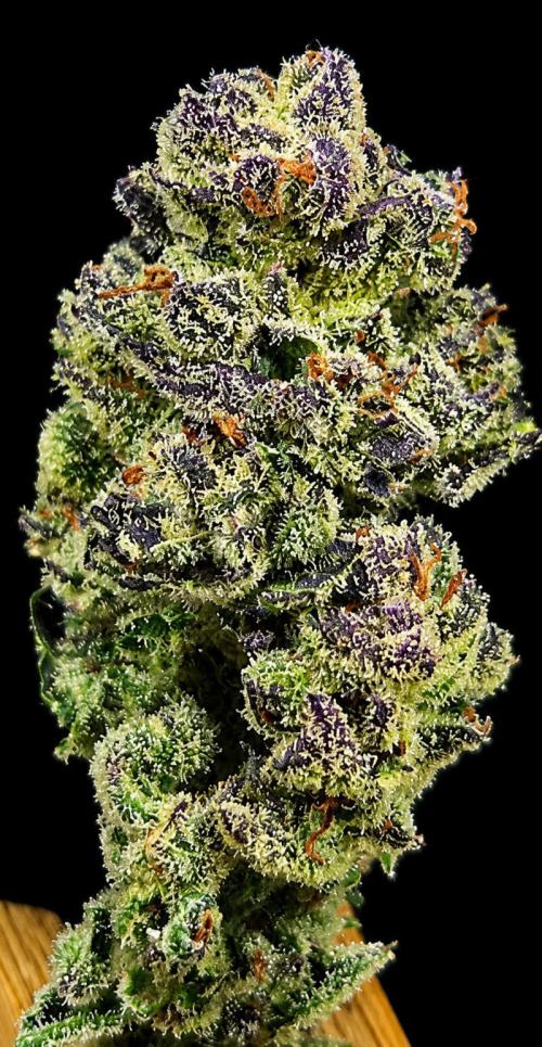 Fruit Cake. Week 16