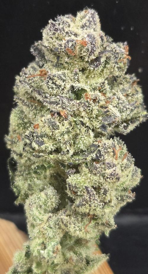 Fruit Cake. Week 16