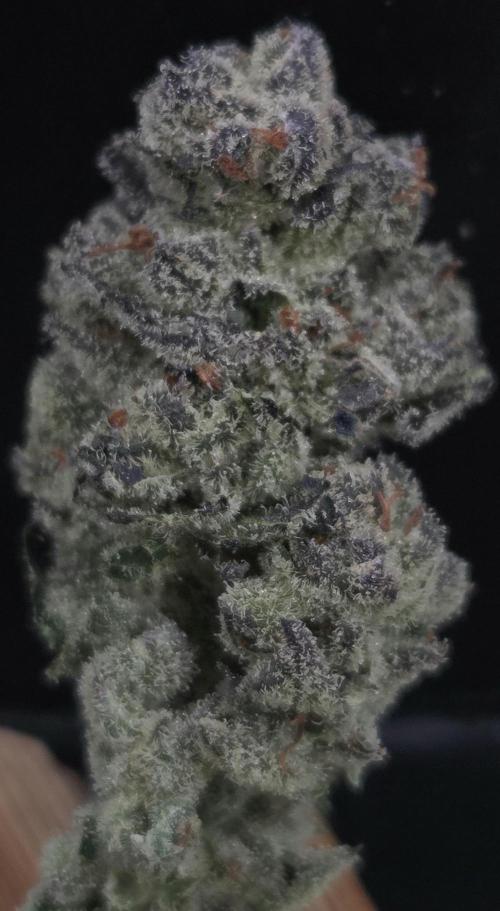 Fruit Cake. Week 16