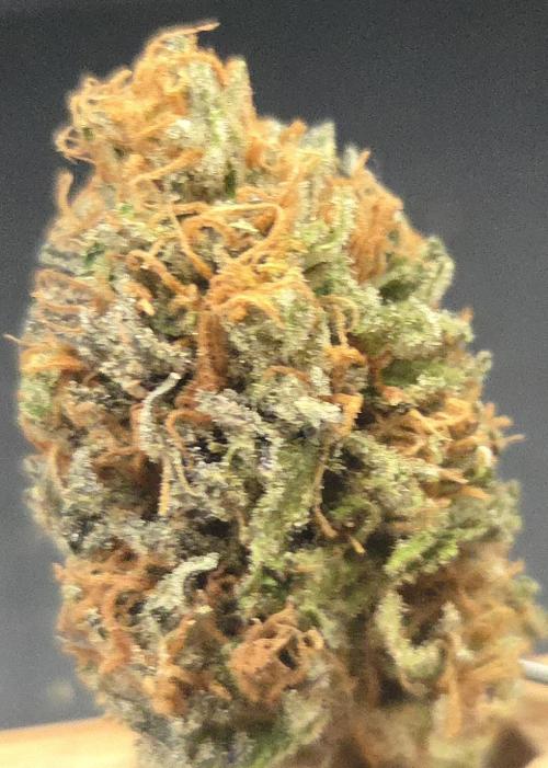 Cali Crasher. Week 16